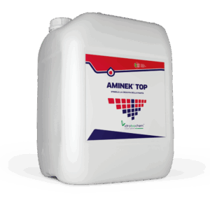 AMINEK TOP